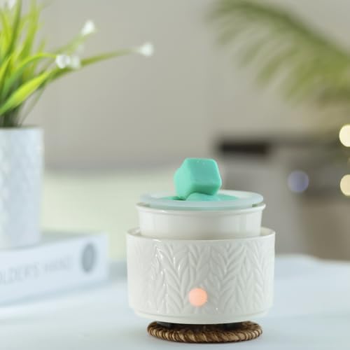 EQUSUPRO Wax Melt Warmer with Silicone Dish