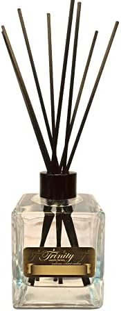 Clove Spice Reed Diffuser Oil Kit 6 Oz