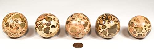 HQRP 47mm Leopardite Jasper Sphere Natural Crystal Mineral Ball with Stand