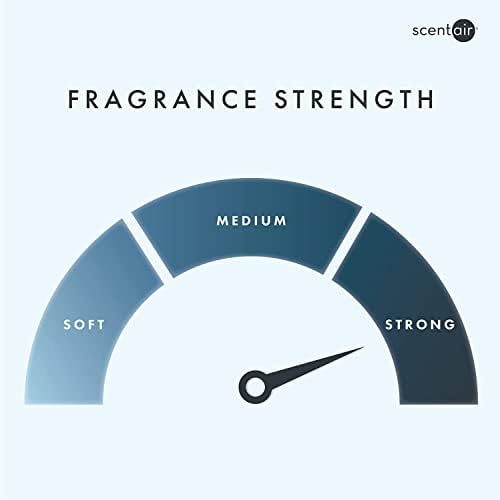 Monthly Fragrance Cartridge - Golden Bamboo