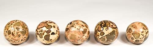 HQRP 47mm Leopardite Jasper Sphere Natural Crystal Mineral Ball with Stand