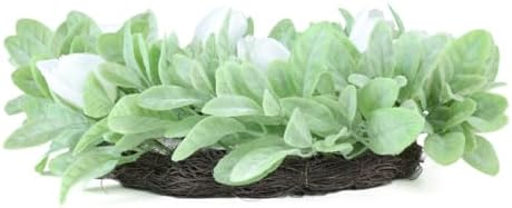 Seasons 18 Inch Lambs Ear Wreath for Home Decor