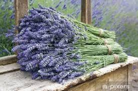 Lavender Flower Dried Turkish Natural Herbs