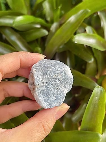 1 Pound Raw Angelite Stones - Natural Rough Angelite for Decor and Energy Work