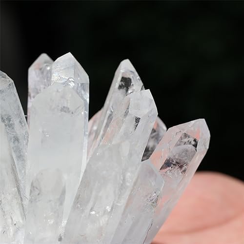 Unique Natural Clear Quartz Crystal Cluster Home Decor Specimen 300400g