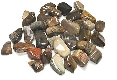 Tumbled Petrified Wood - 1 Inch Stones in Velvet Bag 1 Pound