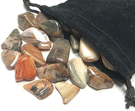 Tumbled Petrified Wood - 1 Inch Stones in Velvet Bag 1 Pound