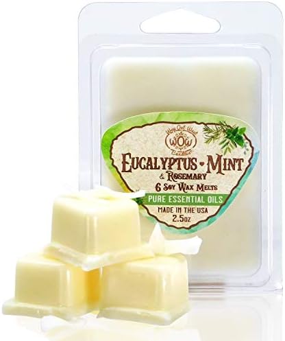 Way Out West Candles Eucalyptus Mint Wax Melts 4 Pack