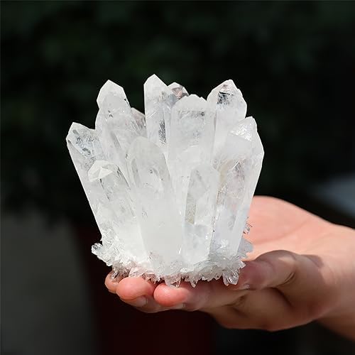 Unique Natural Clear Quartz Crystal Cluster Home Decor Specimen 300400g