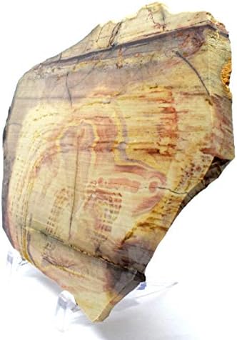 61 Inch Polychrome Royal Jasper Slab Decor Stone