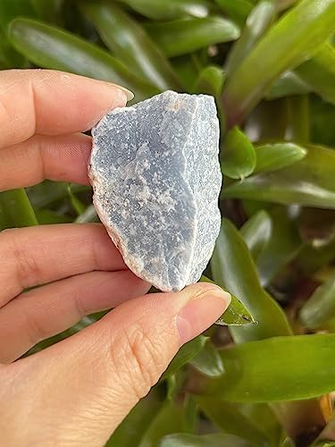1 Pound Raw Angelite Stones - Natural Rough Angelite for Decor and Energy Work