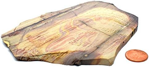 61 Inch Polychrome Royal Jasper Slab Decor Stone