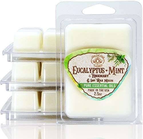 Way Out West Candles Eucalyptus Mint Wax Melts 4 Pack