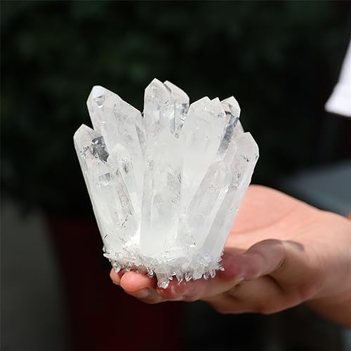 Unique Natural Clear Quartz Crystal Cluster Home Decor Specimen 300400g