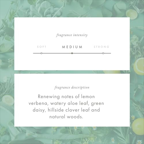 ScentAir Monthly Fragrance Cartridge - Green Clover Aloe