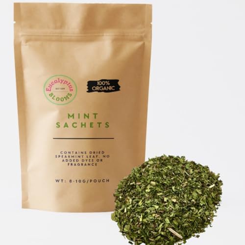12 Spearmint Sachets Fresh Air Deodorizer for Home Car