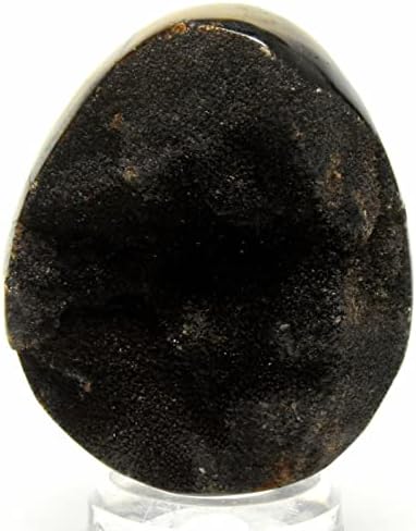 96mm Septarian Dragon Stone Egg with Stand