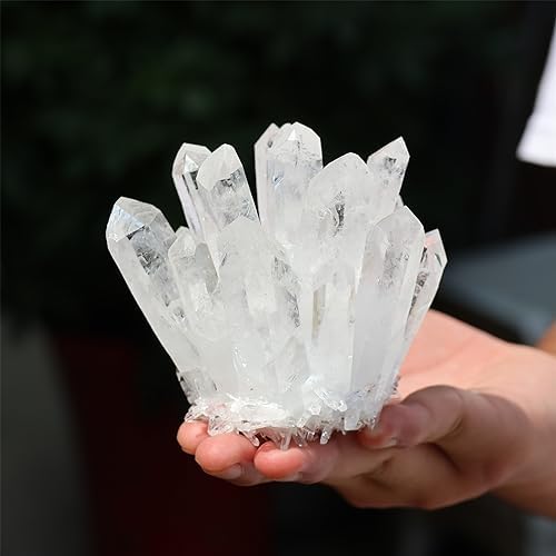 Unique Natural Clear Quartz Crystal Cluster Home Decor Specimen 300400g