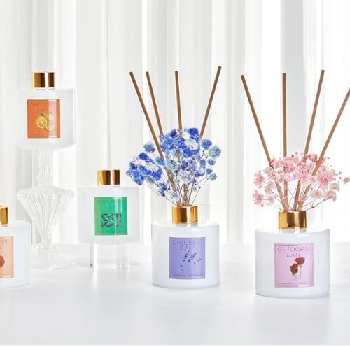 Chloefu LAN Eucalyptus Reed Diffuser Gift Set