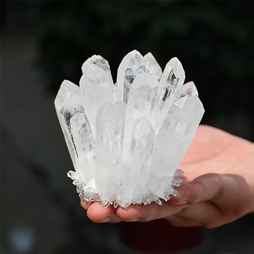 Unique Natural Clear Quartz Crystal Cluster Home Decor Specimen 300400g