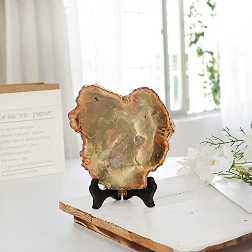 Rockcloud Natural Petrified Wood Slab with Stand for Home Office Decoration