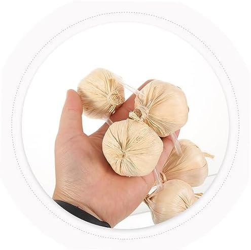 Realistic Garlic String Wreath for Stage and Cosplay