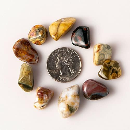 12 lb Tumbled Ocean Jasper Gemstone Crystals