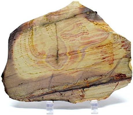 61 Inch Polychrome Royal Jasper Slab Decor Stone