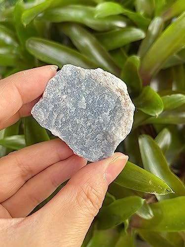 1 Pound Raw Angelite Stones - Natural Rough Angelite for Decor and Energy Work