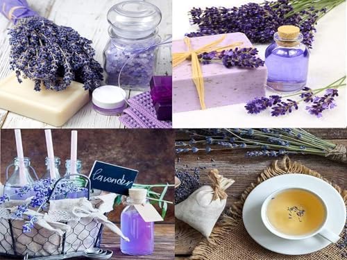 Natural Dried Lavender Buds 100g Bulk for Crafts and Fragrance