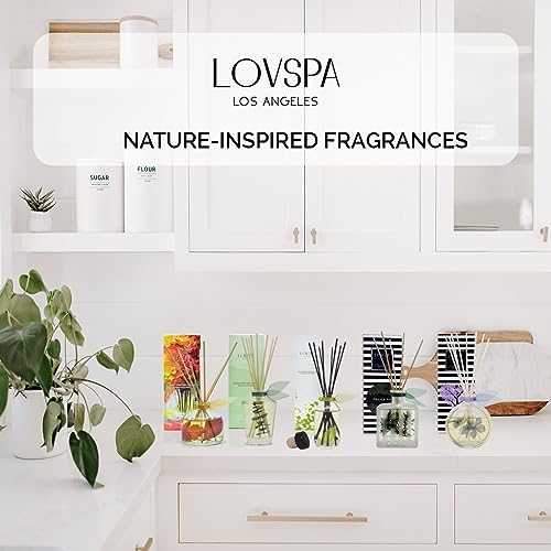 LOVSPA Spiced Pumpkin Reed Diffuser Oil Refill