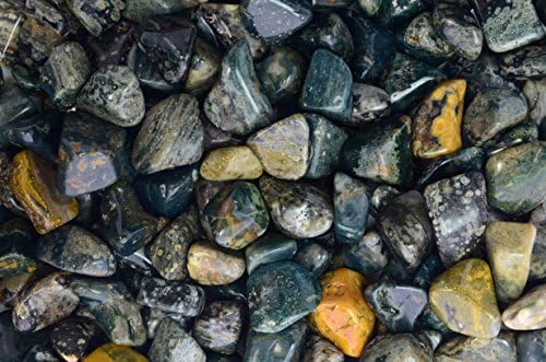 Fantasia 5 Lbs Tumbled Sea Jasper Stones from Madagascar