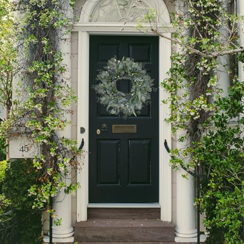 24-26 Inch Eucalyptus Wreath for Front Door