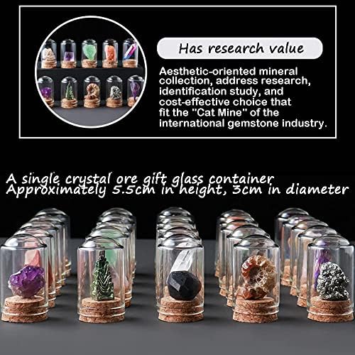 Crystal Mineral Specimen Set 25 Pack Natural Stones for Home Decoration and Healing