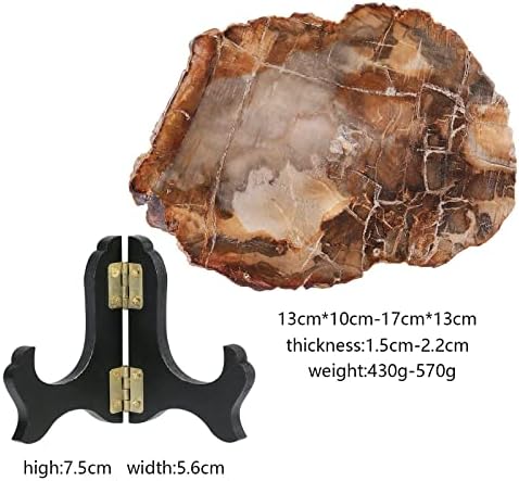 Rockcloud Natural Petrified Wood Slab with Stand for Home Office Decoration