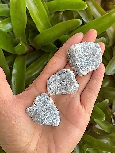 1 Pound Raw Angelite Stones - Natural Rough Angelite for Decor and Energy Work