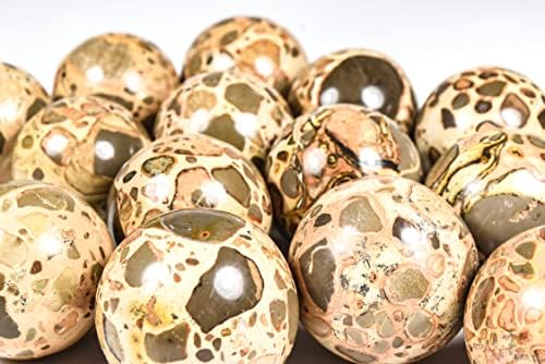 HQRP 47mm Leopardite Jasper Sphere Natural Crystal Mineral Ball with Stand