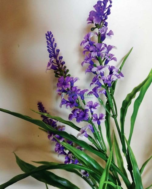 Lavender Flower Dried Turkish Natural Herbs
