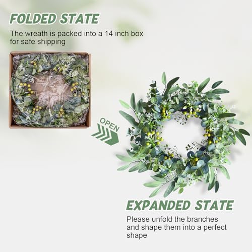 Eucalyptus Wreath for Front Door 20 Inches All Seasons