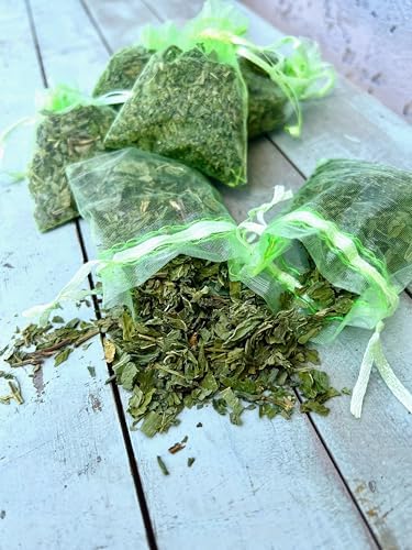 12 Spearmint Sachets Fresh Air Deodorizer for Home Car
