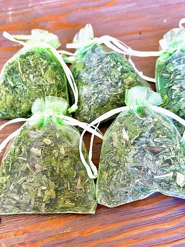 12 Spearmint Sachets Fresh Air Deodorizer for Home Car