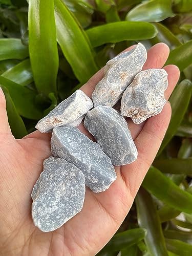 1 Pound Raw Angelite Stones - Natural Rough Angelite for Decor and Energy Work