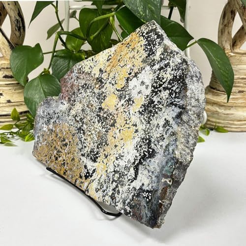 Natural Sea Jasper Crystal Gemstone Slab - RSL055 1