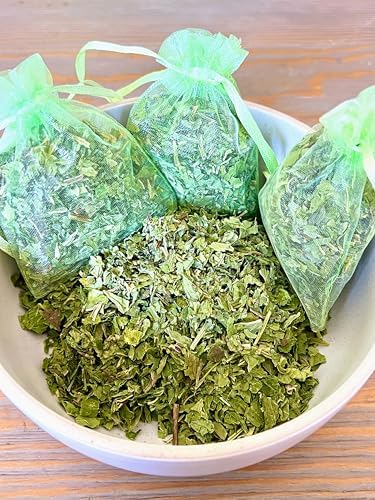 12 Spearmint Sachets Fresh Air Deodorizer for Home Car