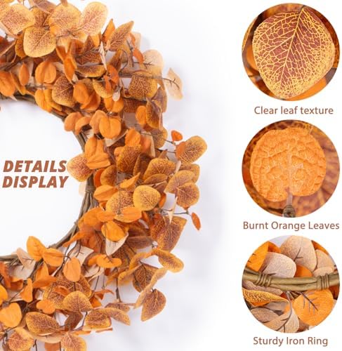 Fall Wreath for Front Door 22 Inch Autumn Decor with Eucalyptus Leaves