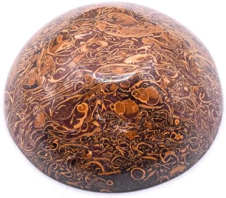 31 Inch Mariam Fossil Jasper Bowl Natural Gemstone Decor