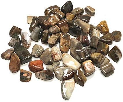 Tumbled Petrified Wood - 1 Inch Stones in Velvet Bag 1 Pound