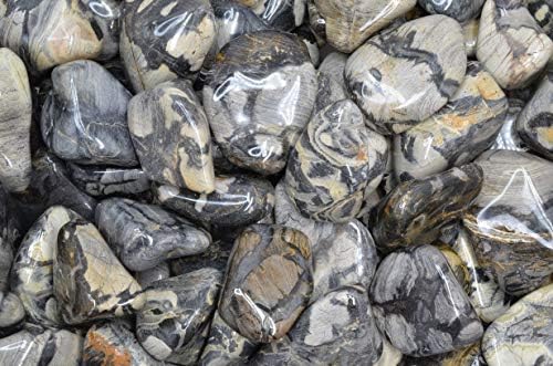 Fantasia Silver Leaf Jasper Stones - 5 lbs Tumbled African Rocks