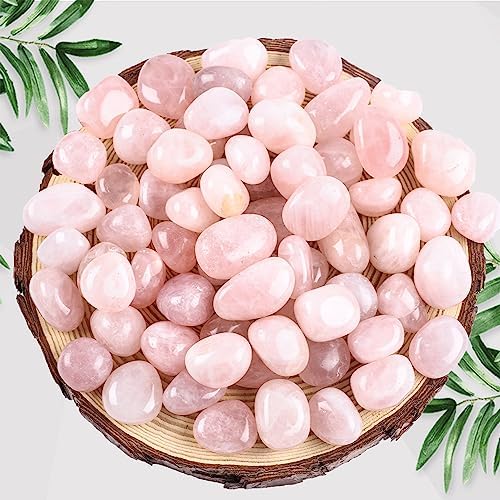 FORBY 3lb Natural Rose Quartz Tumbled Stones Crystal Set