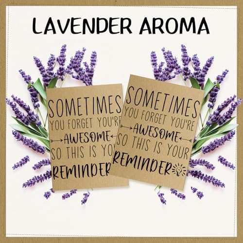 50 Piece Employee Appreciation Lavender Scented Sachet Gift Set